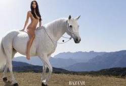 马麻豆,探寻神秘东方文化的瑰宝