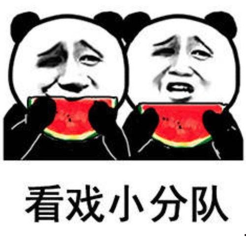 每天看娱乐吃瓜